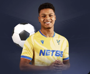 金蛇纳福金刚官网入口